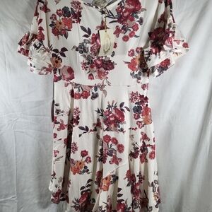Nwt Girls Size 10 Joyfolie Emilia Dress In Cream Floral